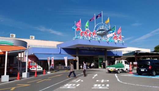 【白浜 とれとれ市場】ランチにオススメ！とれとれ横丁は海鮮料理を手軽に楽しめるフードコート